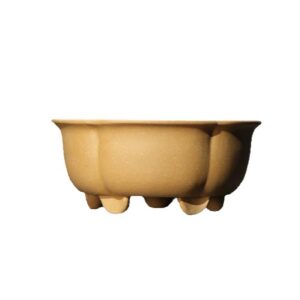 Planter Pot — Golden Petal Bowl — product view