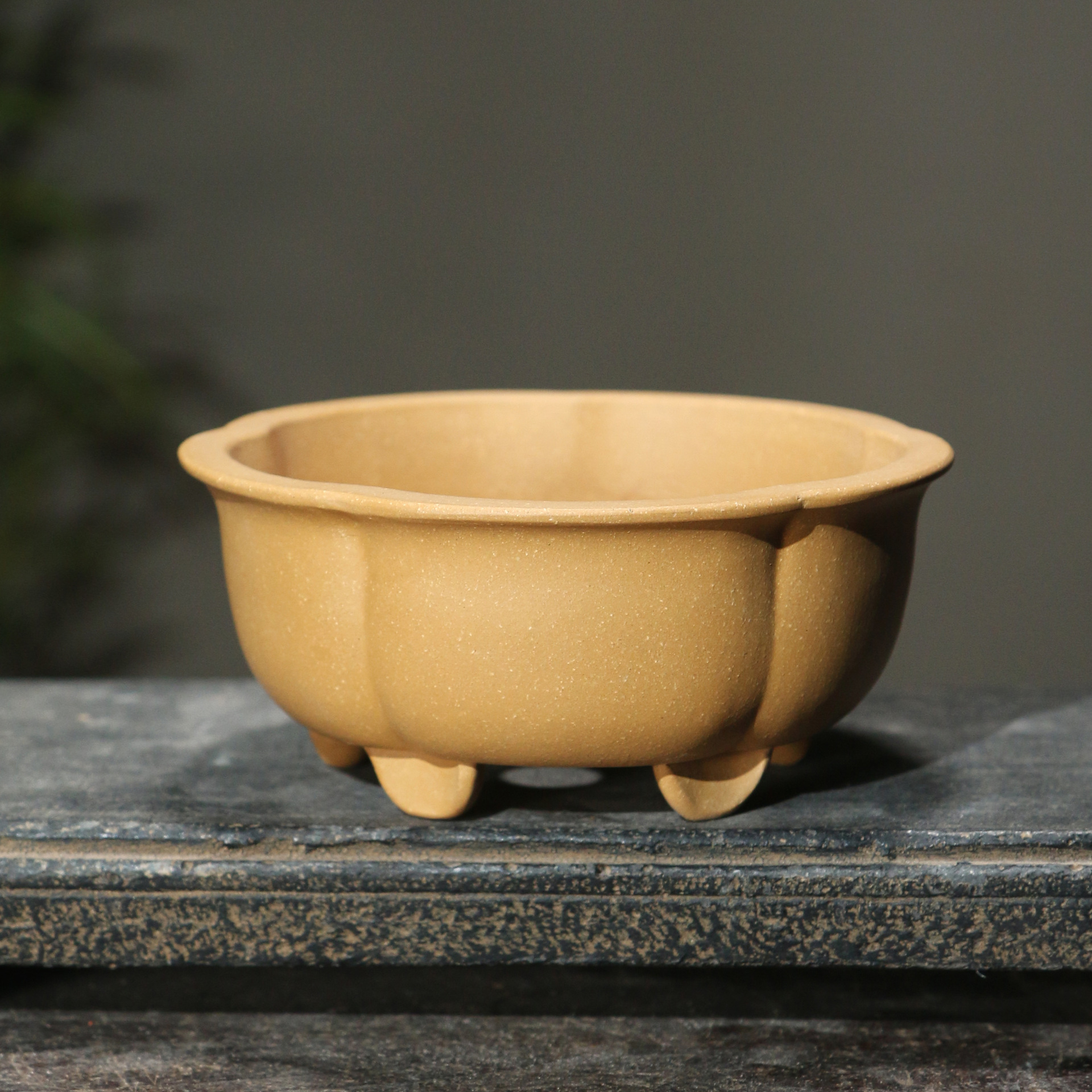 Planter Pot — Golden Petal Bowl — detail view